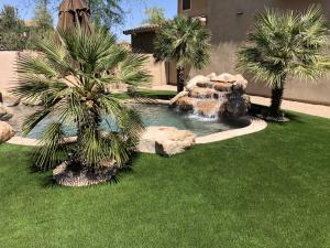 Artificial Grass
